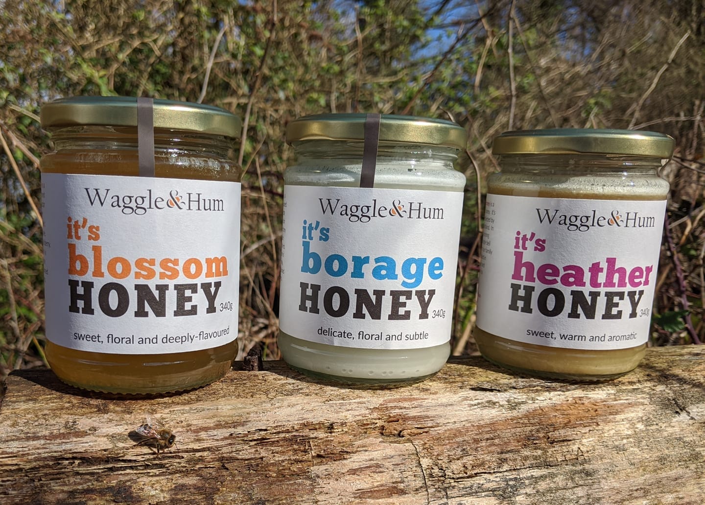 91465545_546439339584364_3870860265025175552_o.jpg?w=1024&h=733&scale