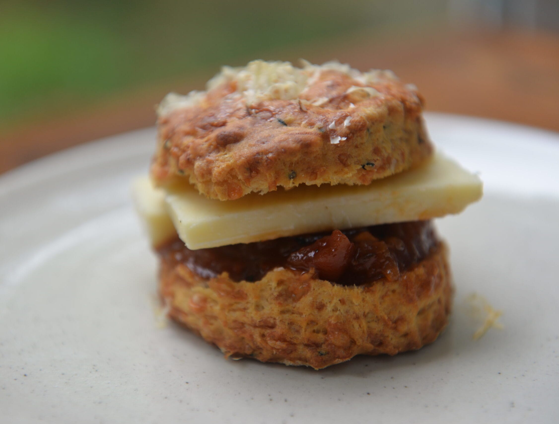 DSC_9060-scaled-e1602585458930.jpg?w=1024&h=777&scale