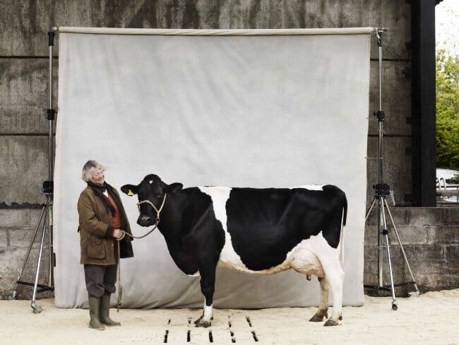 yeo-valley-supplier-standard-1