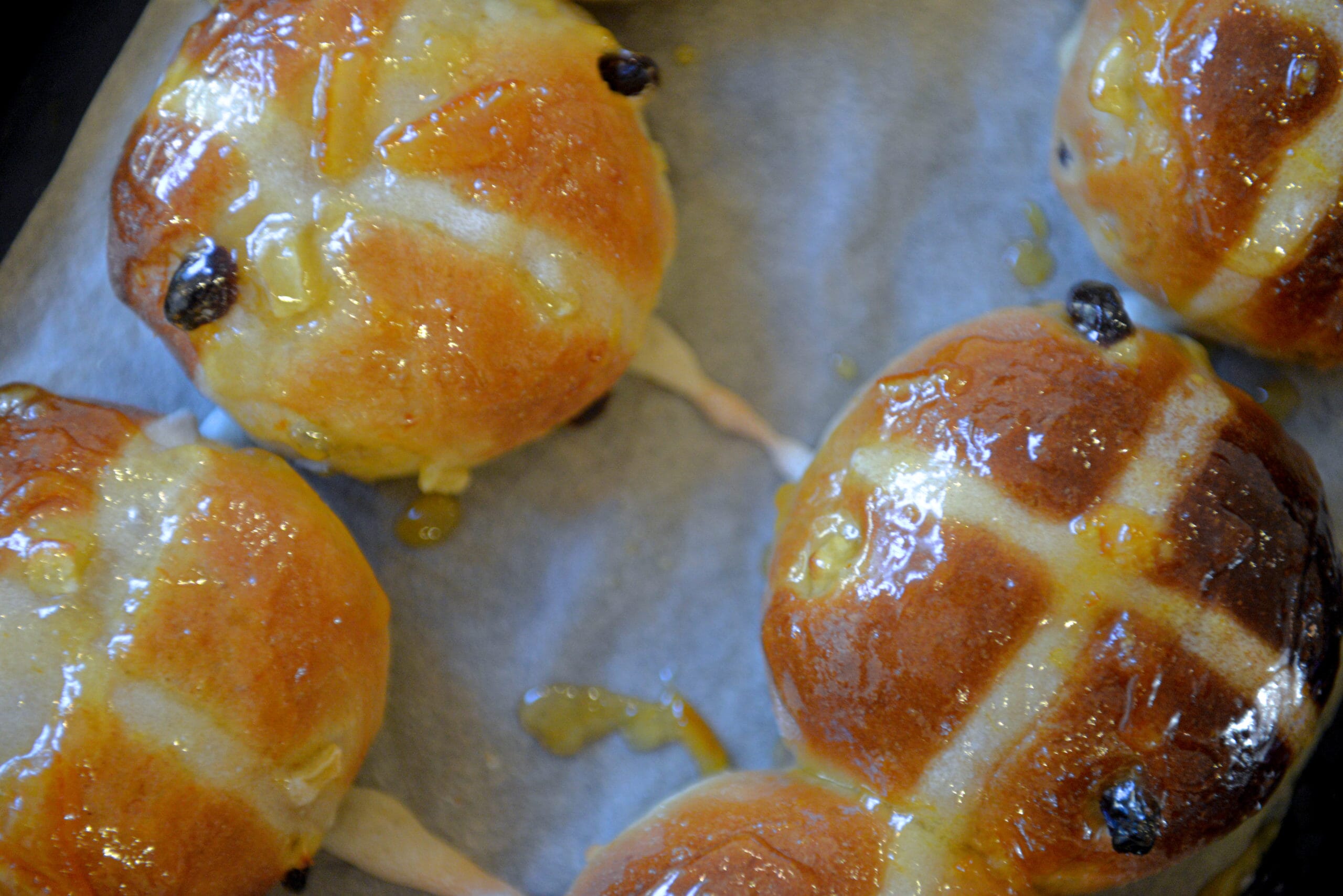 DSC_5865-scaled.jpg?w=1024&h=684&scale