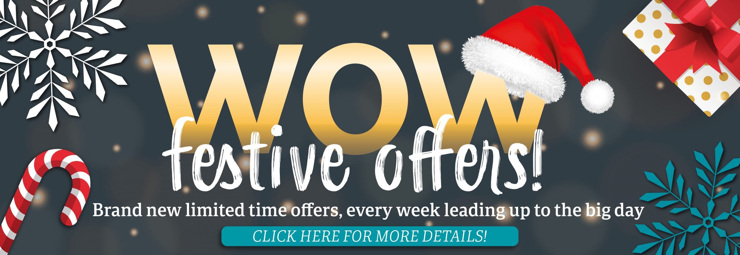 WEB-BANNER-01-1-3-scaled.jpg?w=1024&h=353&scale