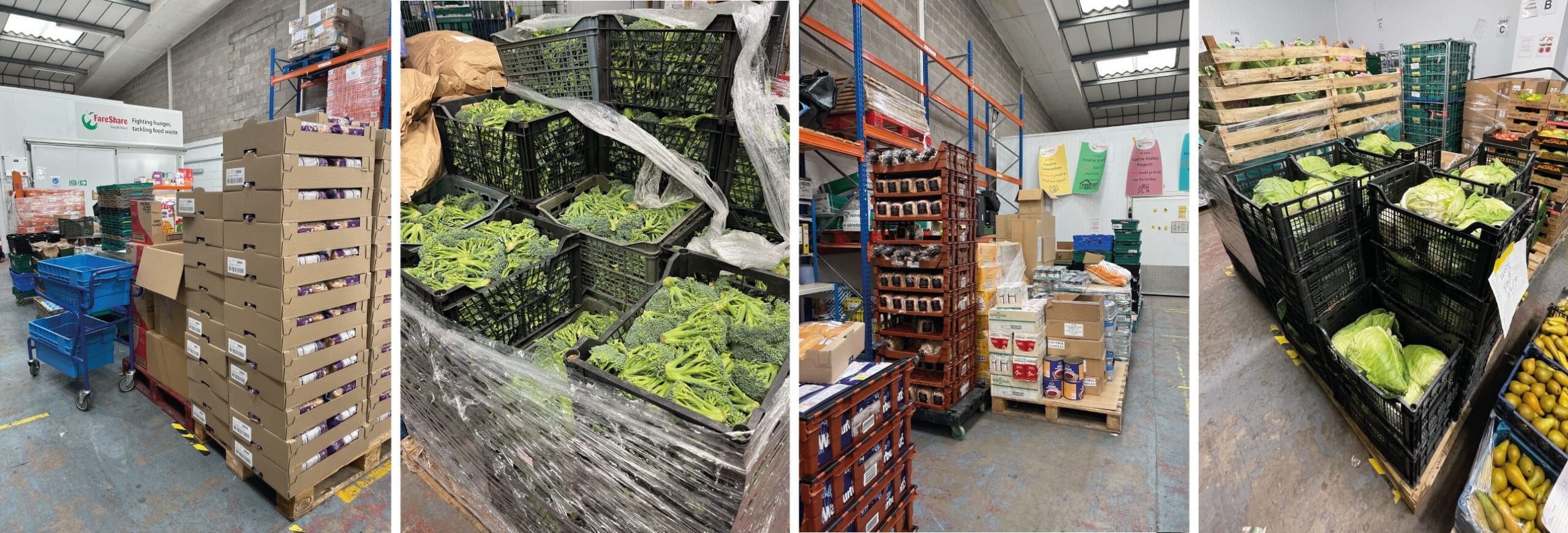 COLLAGE-FOR-BLOG-01-scaled.jpg?w=1024&h=348&scale